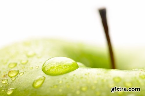 Collection of various types of food #2-25 UHQ Jpeg Collection of various types of food #2-25 UHQ Jpeg