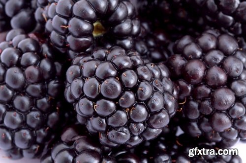Collection of various types of food #2-25 UHQ Jpeg Collection of various types of food #2-25 UHQ Jpeg