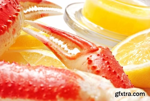 Collection of various types of food #2-25 UHQ Jpeg Collection of various types of food #2-25 UHQ Jpeg
