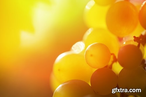 Collection of various types of food #2-25 UHQ Jpeg Collection of various types of food #2-25 UHQ Jpeg