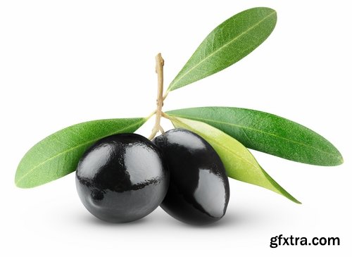 Collection of various types of food #2-25 UHQ Jpeg Collection of various types of food #2-25 UHQ Jpeg