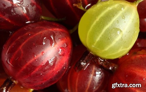 Collection of various types of food #2-25 UHQ Jpeg Collection of various types of food #2-25 UHQ Jpeg