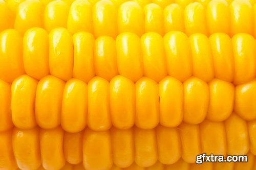 Collection of various types of food #2-25 UHQ Jpeg Collection of various types of food #2-25 UHQ Jpeg