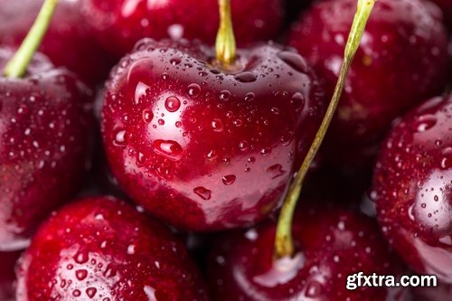 Collection of various types of food #2-25 UHQ Jpeg Collection of various types of food #2-25 UHQ Jpeg