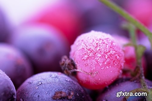 Collection of various types of food #2-25 UHQ Jpeg Collection of various types of food #2-25 UHQ Jpeg