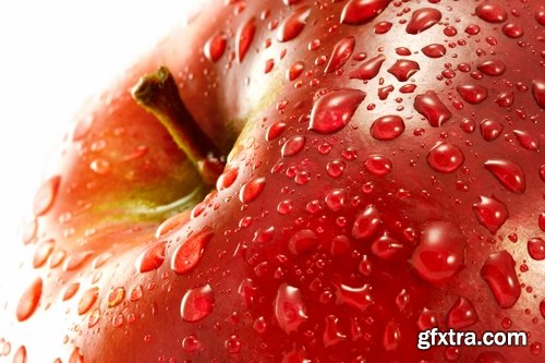 Collection of various types of food #2-25 UHQ Jpeg Collection of various types of food #2-25 UHQ Jpeg