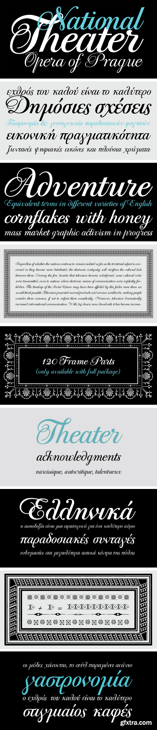 PF Bodoni Script Font Family - 6 Fonts for $219 PF Bodoni Script Font Family - 6 Fonts for $219