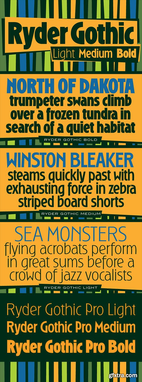 Ryder Gothic Pro Font Family 3xOTF $150