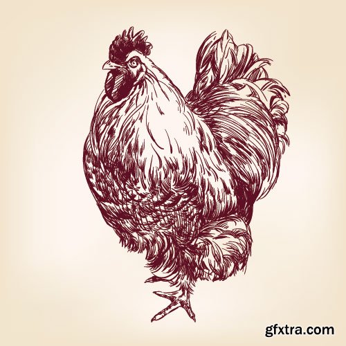 Chicken Logos & Designs 2, 25xEPS Chicken Logos & Designs 2, 25xEPS