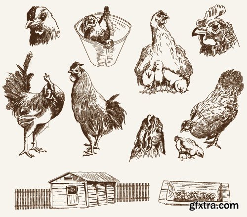 Chicken Logos & Designs 2, 25xEPS Chicken Logos & Designs 2, 25xEPS