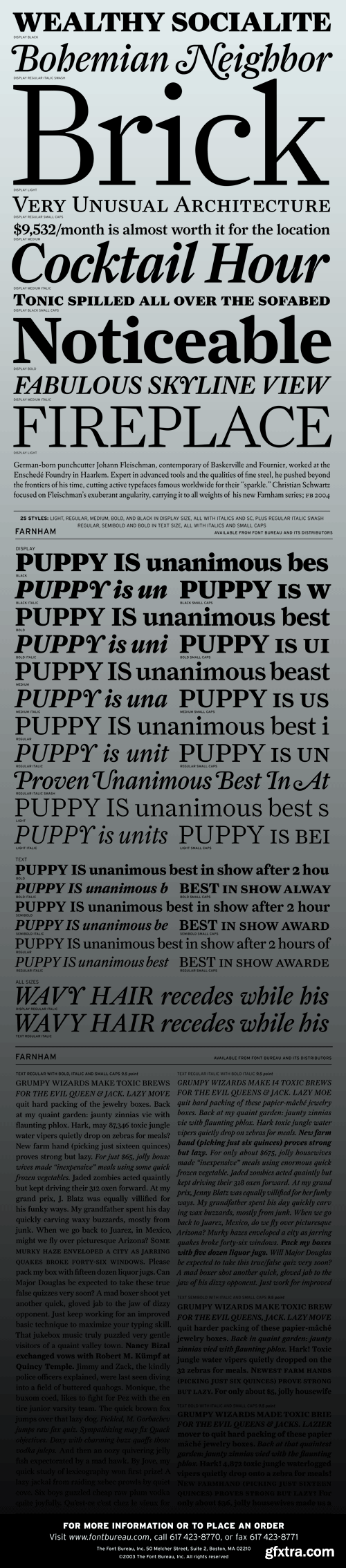 Farnham Font Family - 42 Fonts for $625