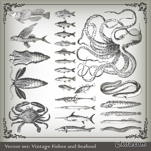 Antique Design Elements - 30 Vector Antique Design Elements - 30 Vector