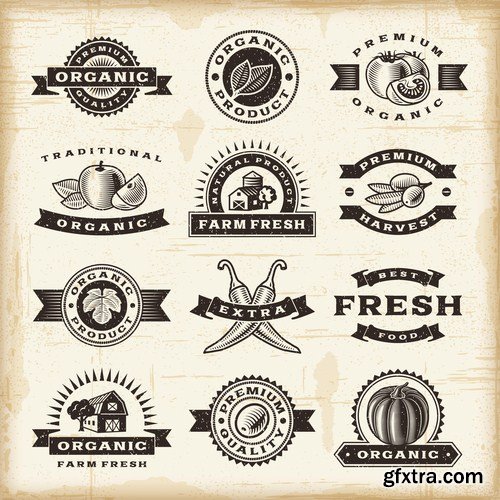 Antique Design Elements - 30 Vector Antique Design Elements - 30 Vector