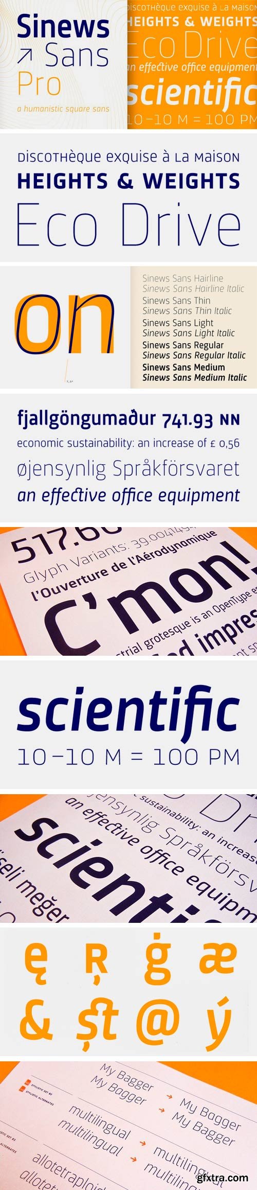 Sinews Sans Pro Font Family - 10 Fonts for €480 Sinews Sans Pro Font Family - 10 Fonts for €480