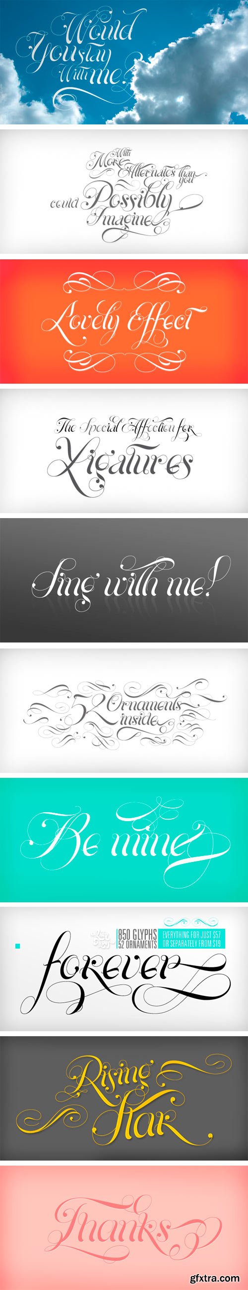 Parfait Script Font Family - 8 Fonts for $190 Parfait Script Font Family - 8 Fonts for $190