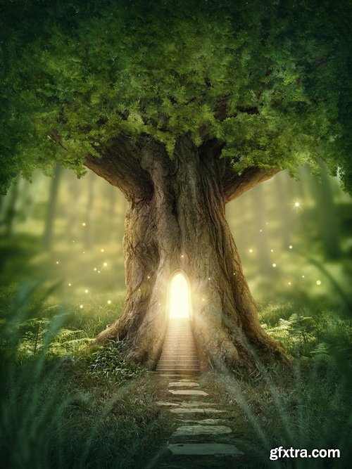 Fantastic Photo Artwork Backgrounds 25xJPG