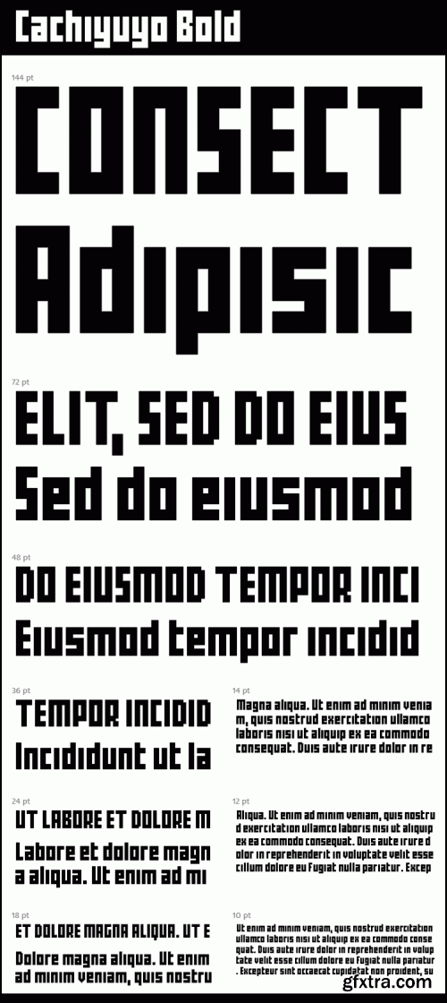 Cachiyuyo Bitmap Font Family 3xOTF