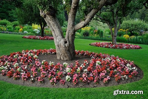 Collection of plants for landscaping 25 UHQ Jpeg