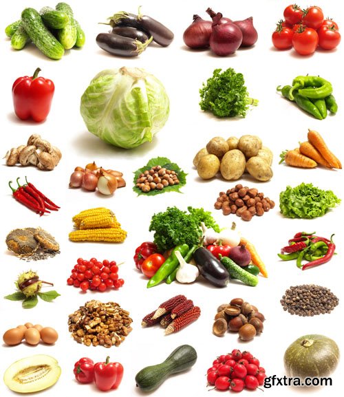 Fruit and Vegetables, 25xUHQ JPEG