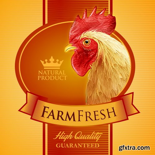 Chicken, Steaks and Fish 25xEPS Chicken, Steaks and Fish 25xEPS