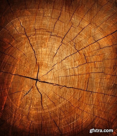 Wood Texture, 25xUHQ JPEG