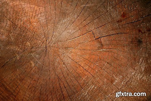 Wood Texture, 25xUHQ JPEG
