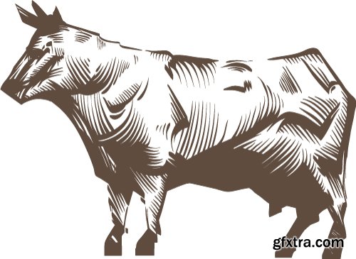Cow Logos &amp; Designs 25xEPS
