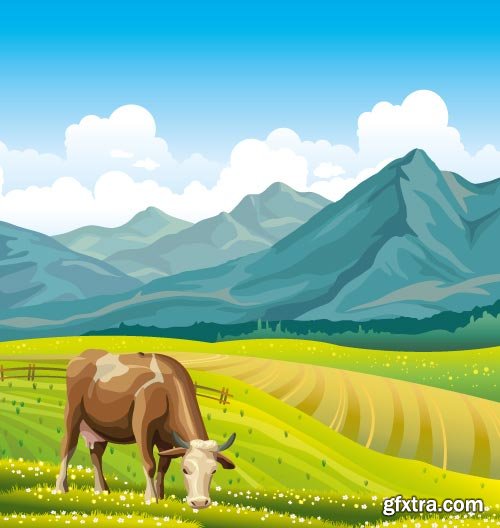 Cow Logos &amp; Designs 25xEPS