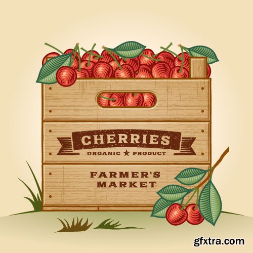 Vintage Natural Food Labels 25xEPS Vintage Natural Food Labels 25xEPS