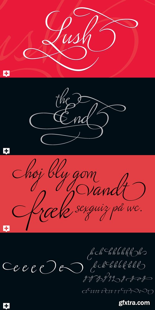 Lush Script Font Family $47.20 Lush Script Font Family $47.20