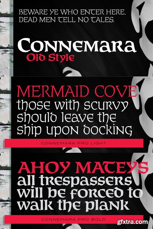 Connemara Old Style Font Family $100