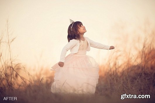 MCP InFusion&trade; Lightroom Presets