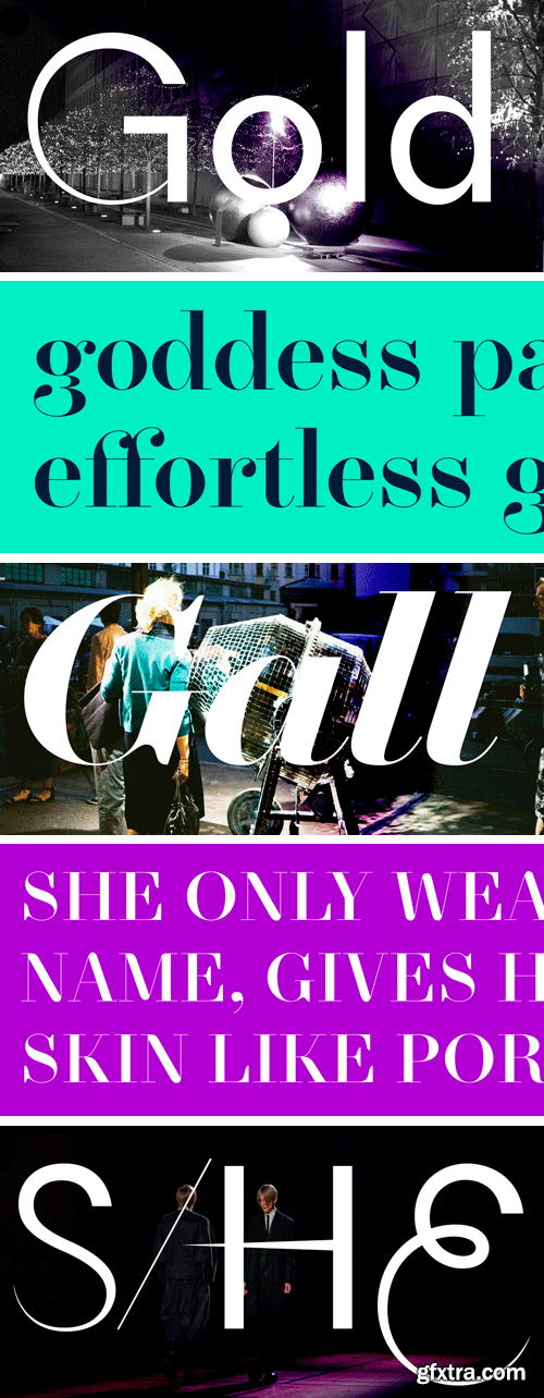 NewParis Font Family - 14 Fonts &euro;300