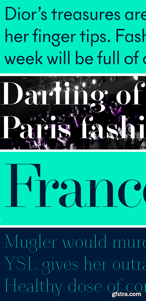 NewParis Font Family - 14 Fonts &euro;300