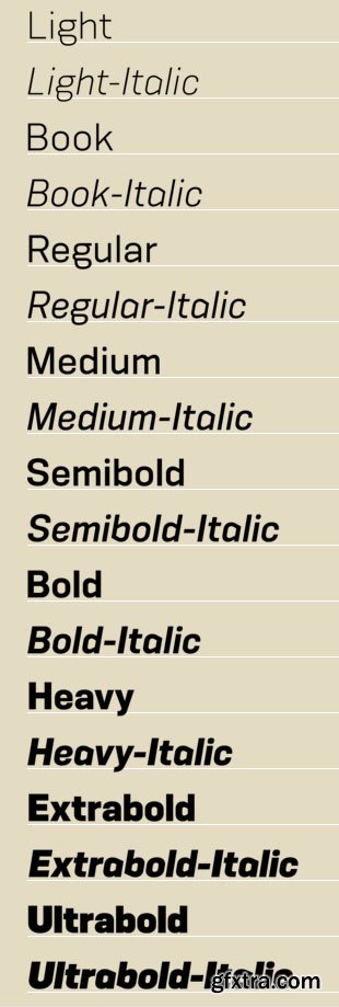 Konsens Font Family €702 Konsens Font Family €702