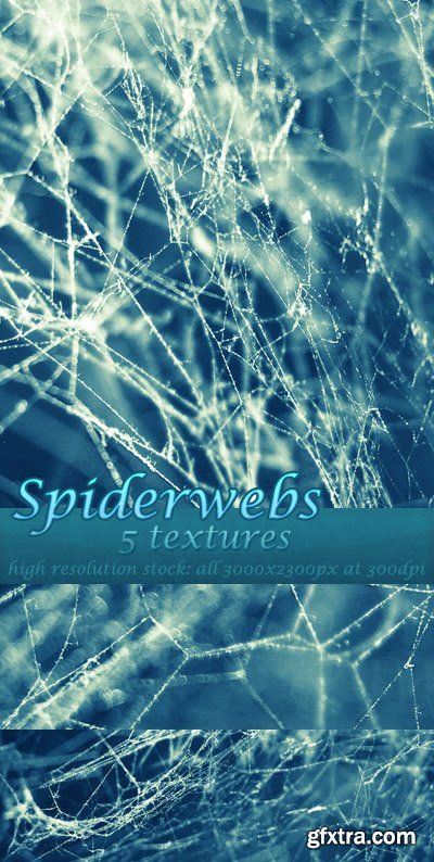 Spiderwebs Stock Textures