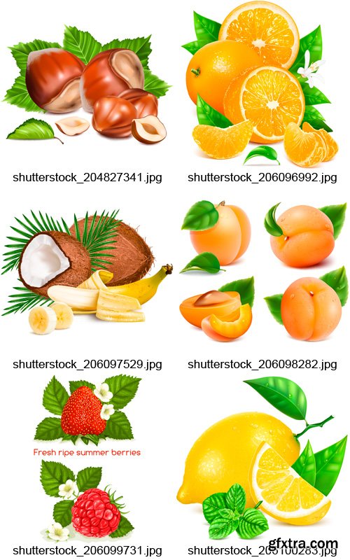 Amazing SS - Ripe Fruit and Vegetables, 25xEPS