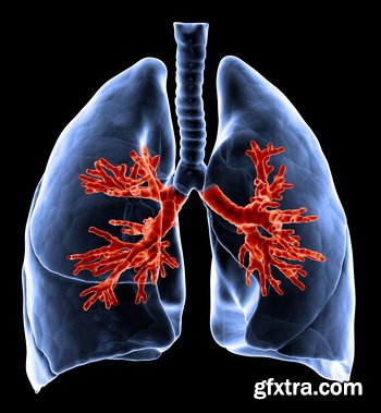 Creative Concept #1, 200xJPG