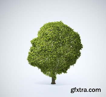 Creative Concept #1, 200xJPG