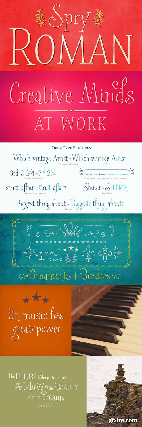 Spry Roman Font Family $490