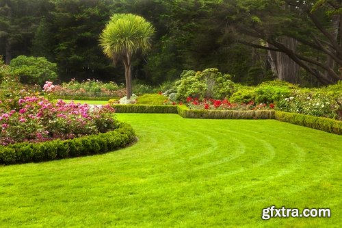 Collection of different beautiful lawn 25 HQ Jpeg