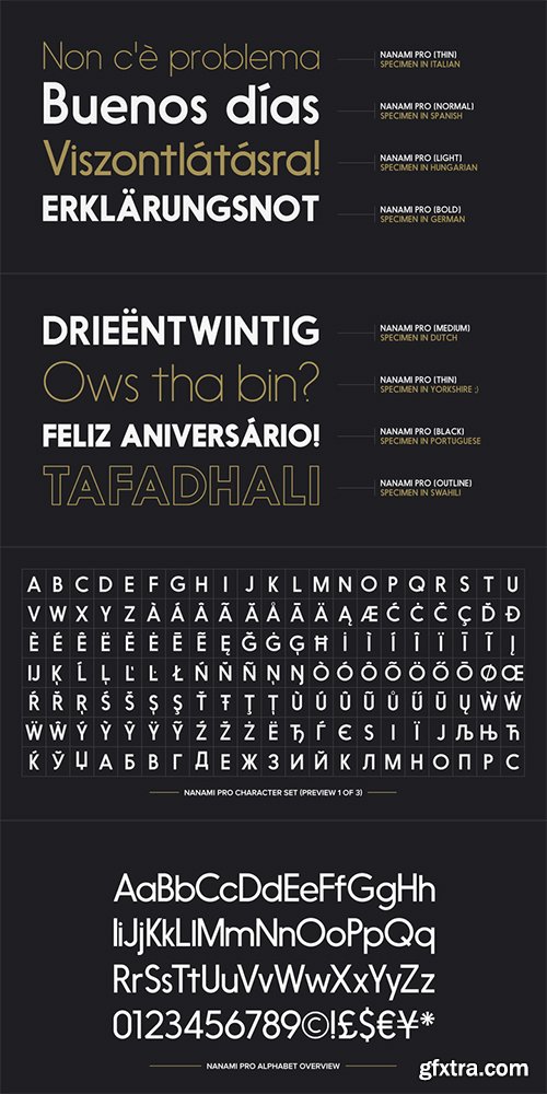 Nanami Pro Font Family - 9 Fonts $252
