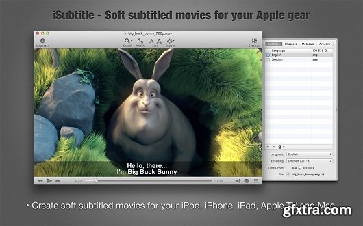 iSubtitle 2.9.1.1 (Mac OS X)