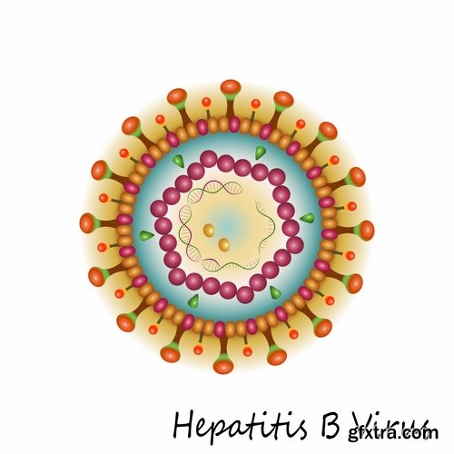 Collection of different vector picture virus 25 Eps