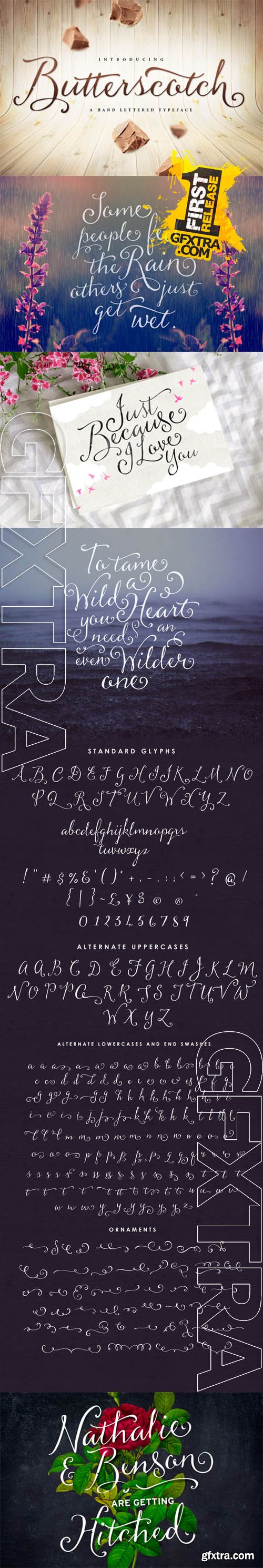 Butterscotch Typeface - CM 166895