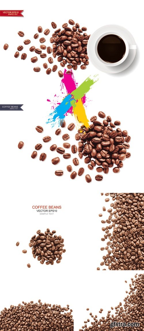 Realistic Coffee Beans Vector