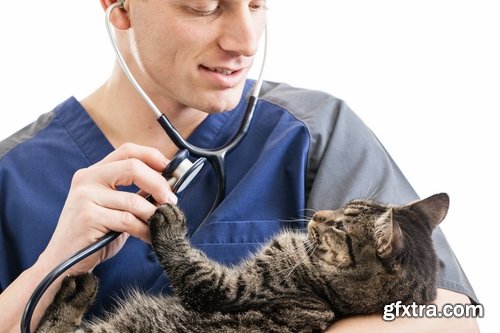 Collection of different veterinarian 25 HQ Jpeg