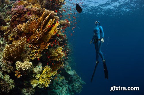 Active People &amp; Tourism 2, 25xEPS