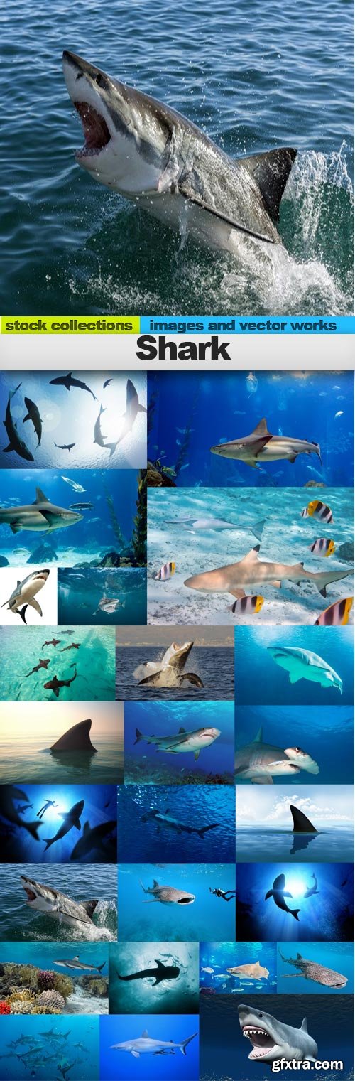 Shark, 25 x UHQ JPEG Shark, 25 x UHQ JPEG