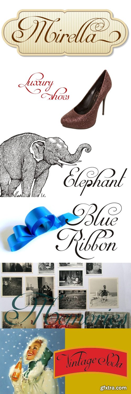 Mirella Script Font Family $52.90